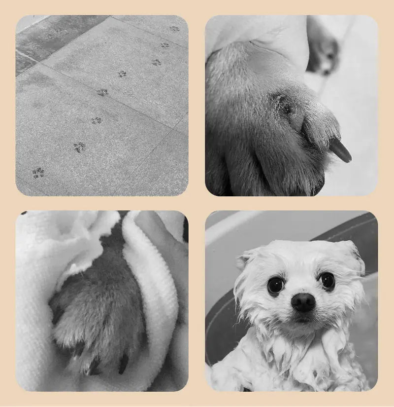 Effortless cleanliness, joyful moments with your pet!